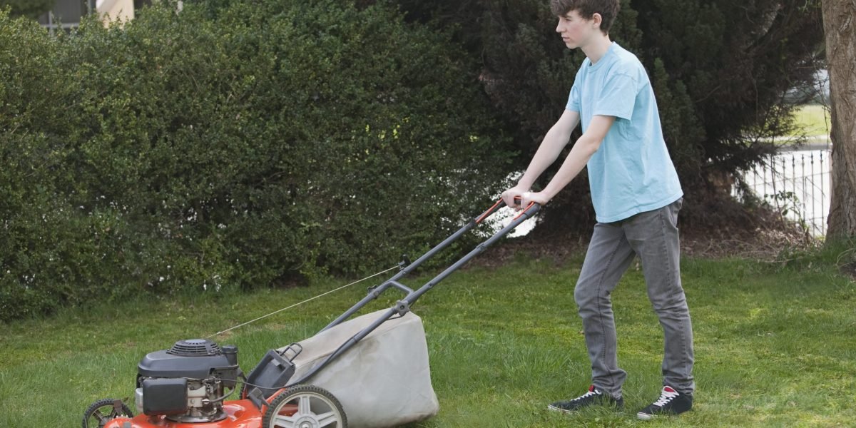 AI told me hilariously wrong things about Elon Musk’s childhood job at a landscaping company—here’s why that matters on Labor Day