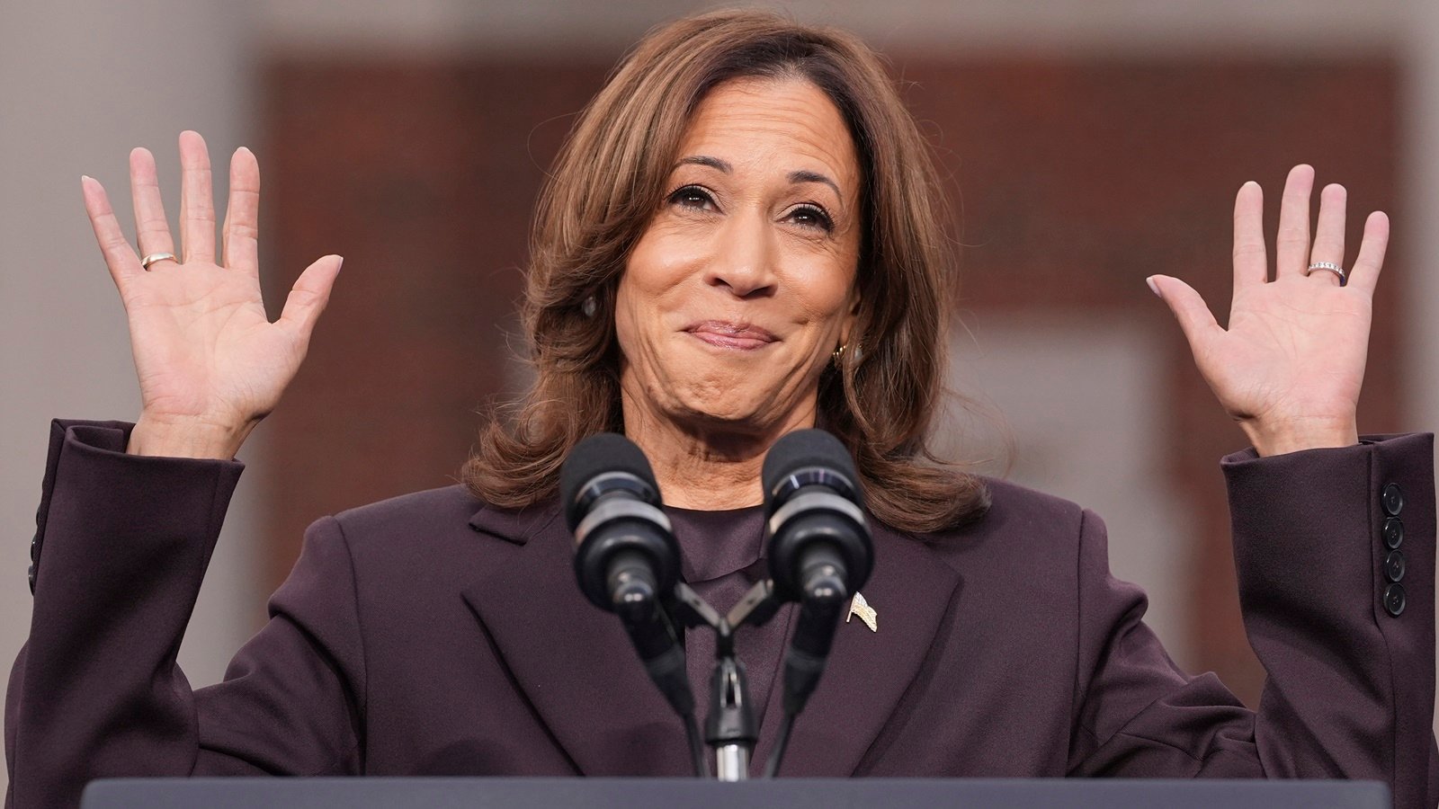 ‘When I am president…’: Kamala Harris recalls crowd reaction to promise of restoring Roe v Wade | World News