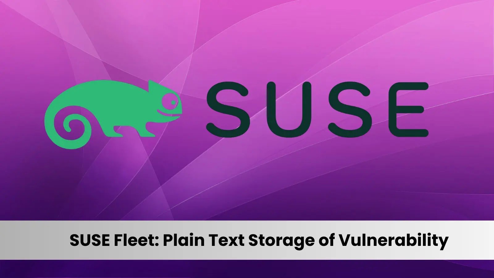 Plain Text Storage of Vulnerability Exploit Helm Values