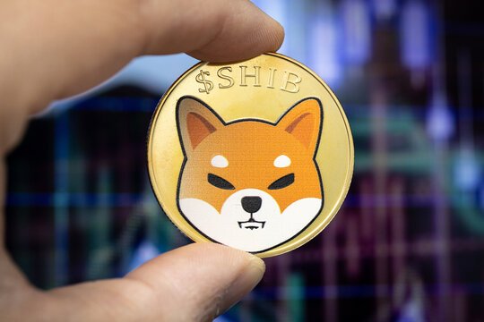 Shiba Inu Flashes Rare Bullish Reversal — Is A 570% Move To alt=