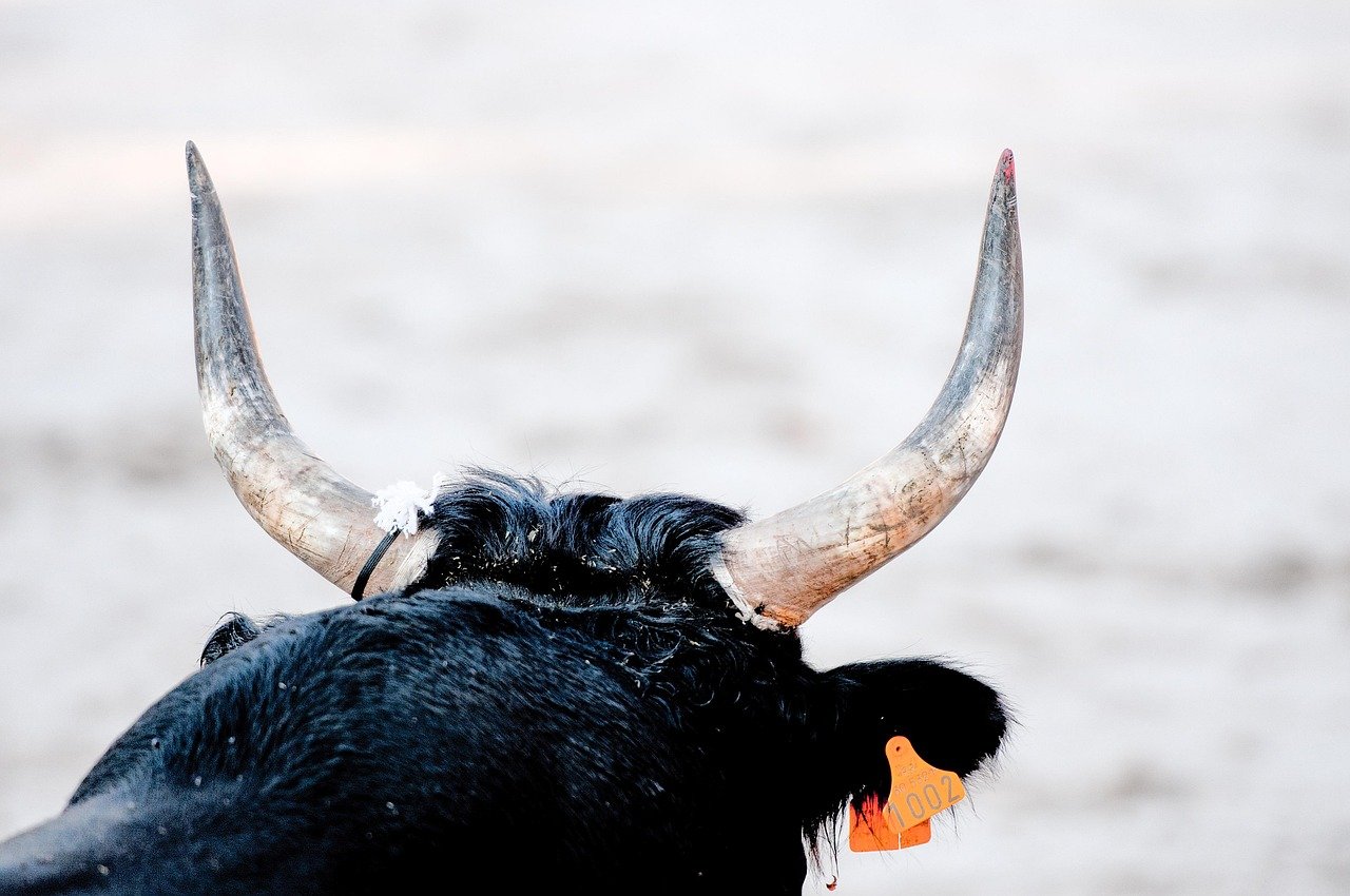 Fed Chair Choice May Be Bitcoin’s Biggest Bull Trigger, CEO Says