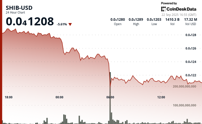 Tanks 5%, SHIB-DOGE Bounces From Record Lows