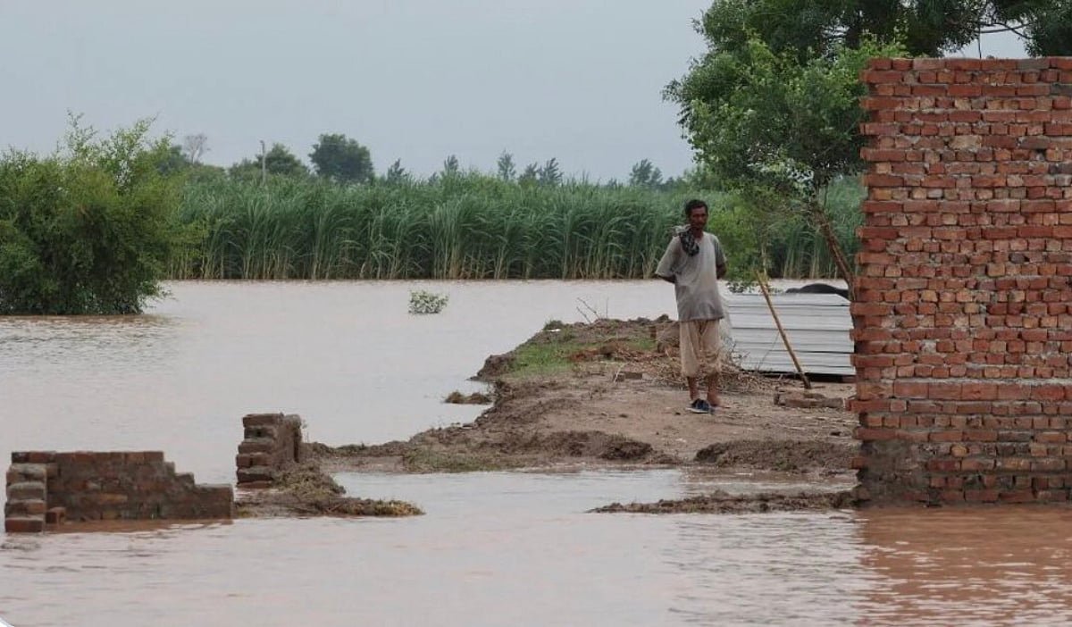 50 Dead, Over Four Million Displaced In Punjab Province