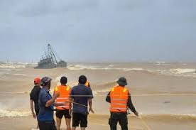 Tropical storm Bualoi kills nine in Vietnam – News Today