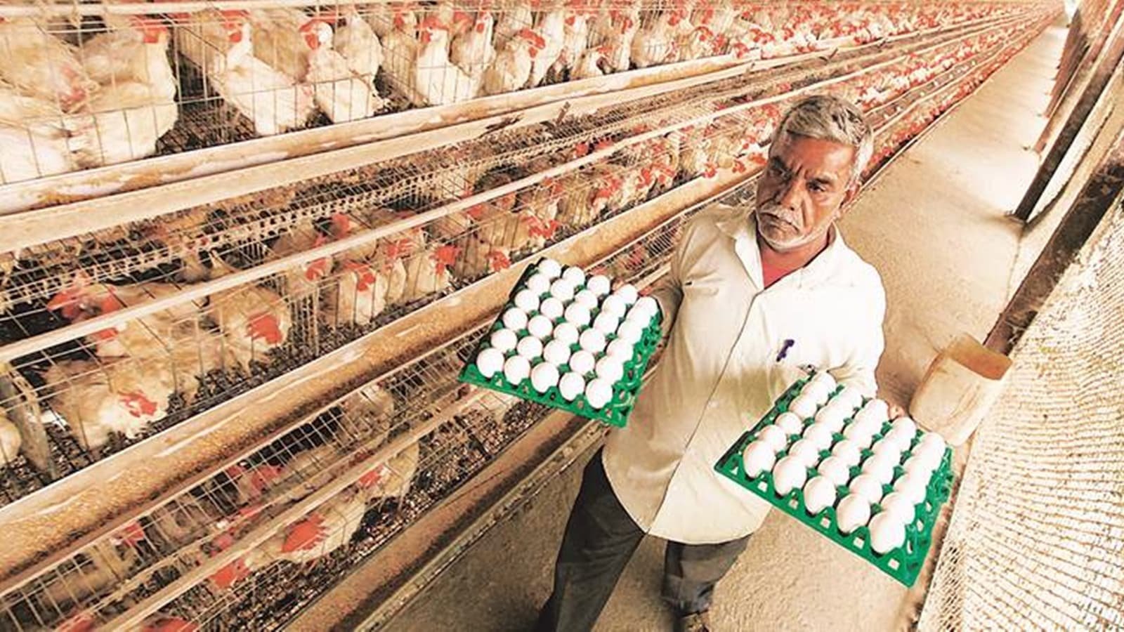 Meat, fish and eggs banned in Madhya Pradesh’s Maihar and Umaria during Navratri | India News