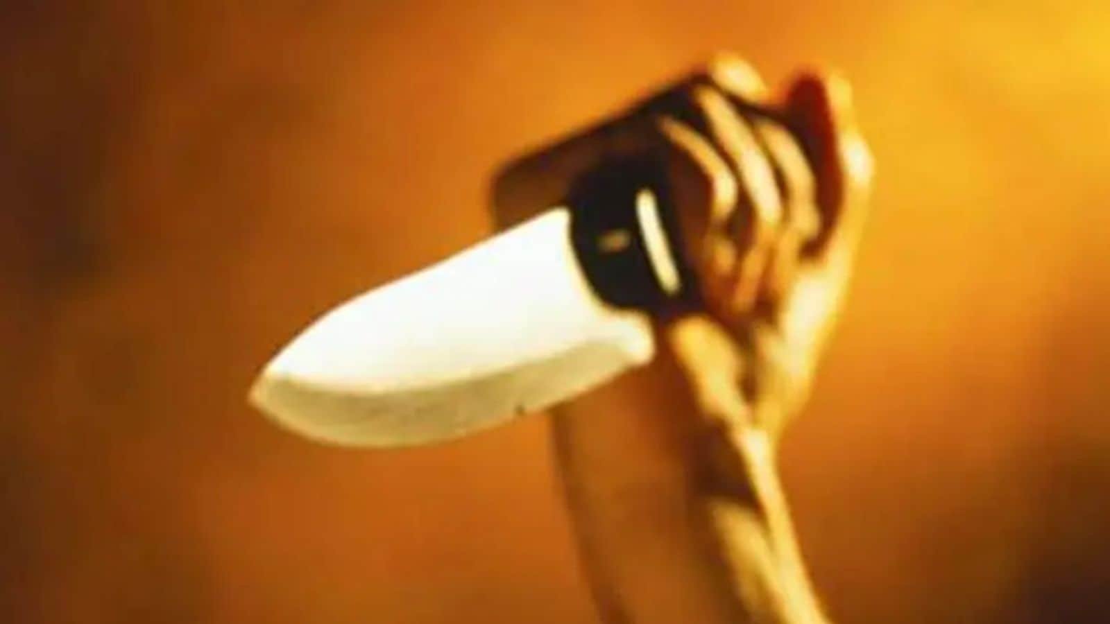 Man held for hacking sister-in-law to death with meat cleaver at Delhi home, wife & niece injured | Delhi News