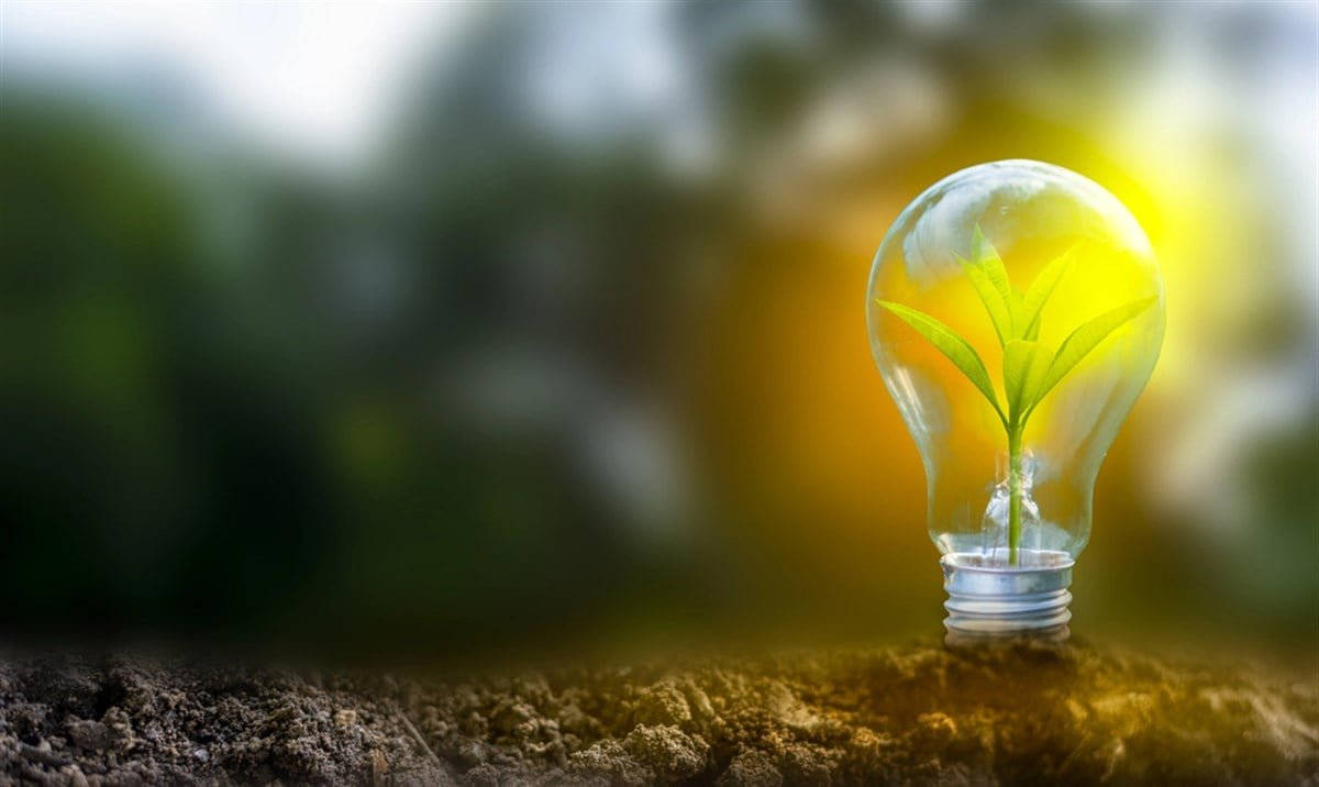 Why NEE, PLUG, and BEP Stocks Could Power Long-Term Growth