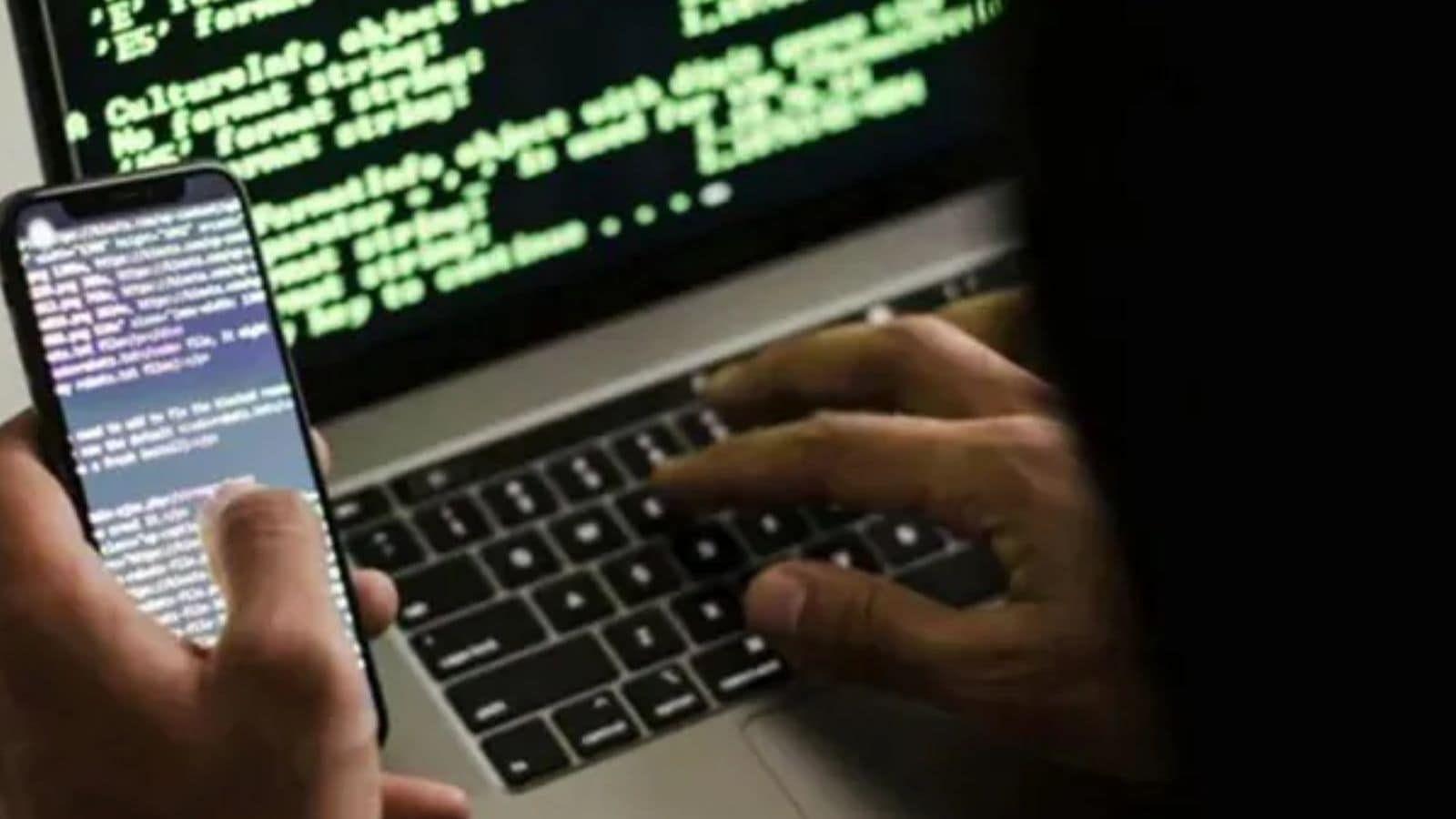 From Jamtara to Dubai — the web of cyber fraudsters spreads fast | Chandigarh News