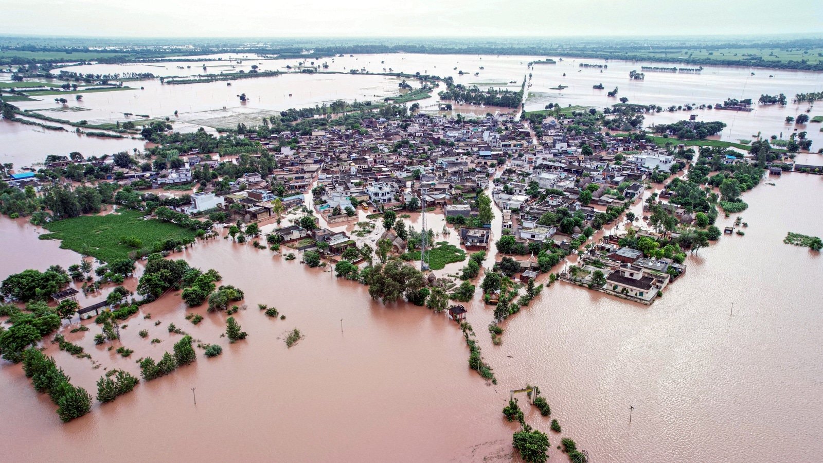 Floods In Punjab | Beas water inflow highest ever, was forced to release water downstream: BBMB chairman | Chandigarh News