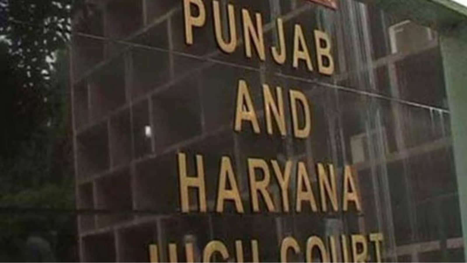 Courts cannot ‘abdicate’: Amicus warns in Dera violence hearing | Chandigarh News