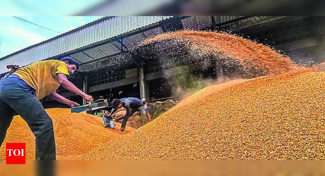 Govt hikes MSP for six rabi crops: Wheat to see most gain; mustard to see 93% rise | India News