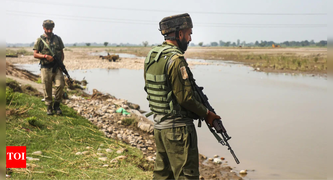 Jammu and Kashmir: Pakistani drone spotted near border village; combing operation on | India News