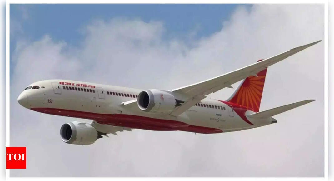 Bird strike: Air India flight from Colombo disrupted; lands safely in Chennai with 158 passengers on board | India News