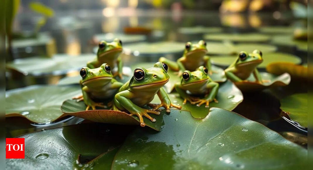 ‘Strange cure attempt’: 82-year-old Chinese woman swallows 8 live frogs for back pain; here is what happened next