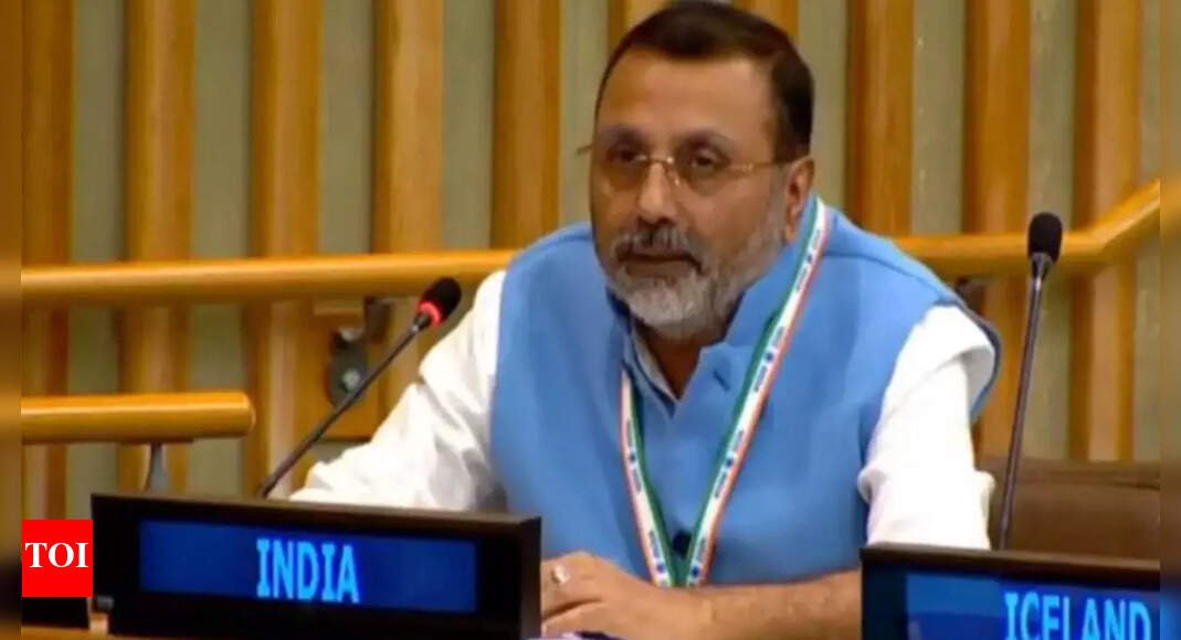 ‘Worst violator’: India slams ‘highly hypocritical’ Pakistan at UN; calls out killings in Afghanistan | India News