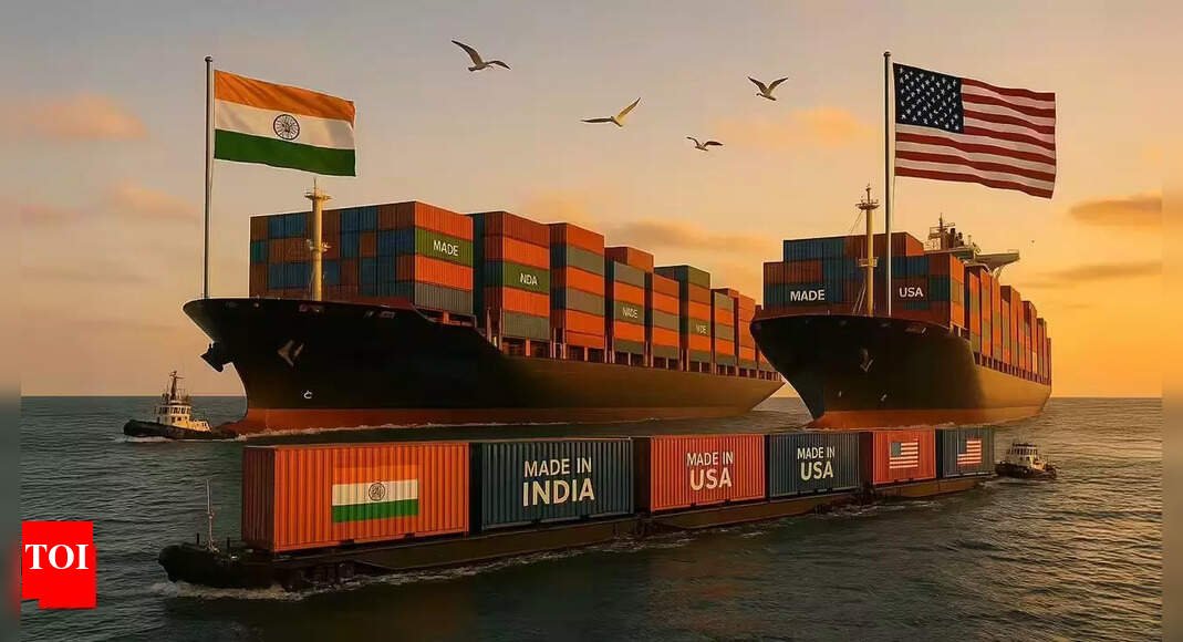 Trade talks with US: Delhi working to find ‘win-win solution’; 45% of Indian exports remain tariff-free
