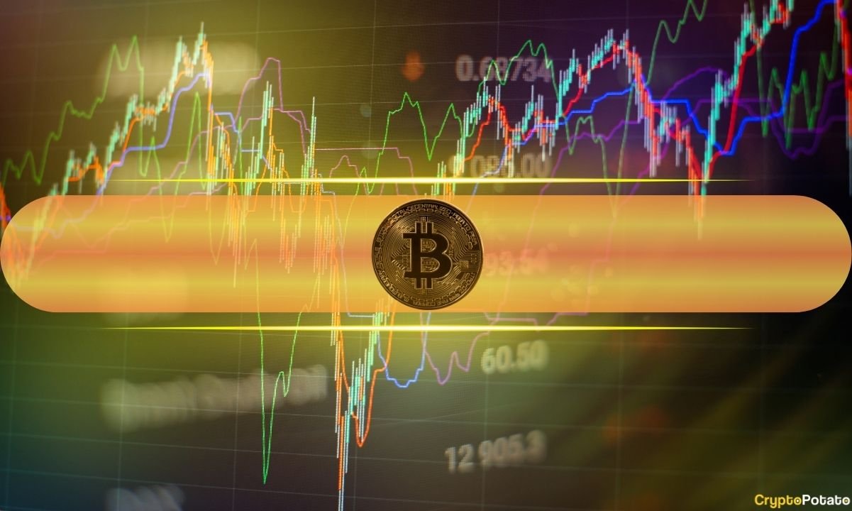 How Is the Options Market Reacting to Bitcoin’s Continued Decline? (Glassnode)