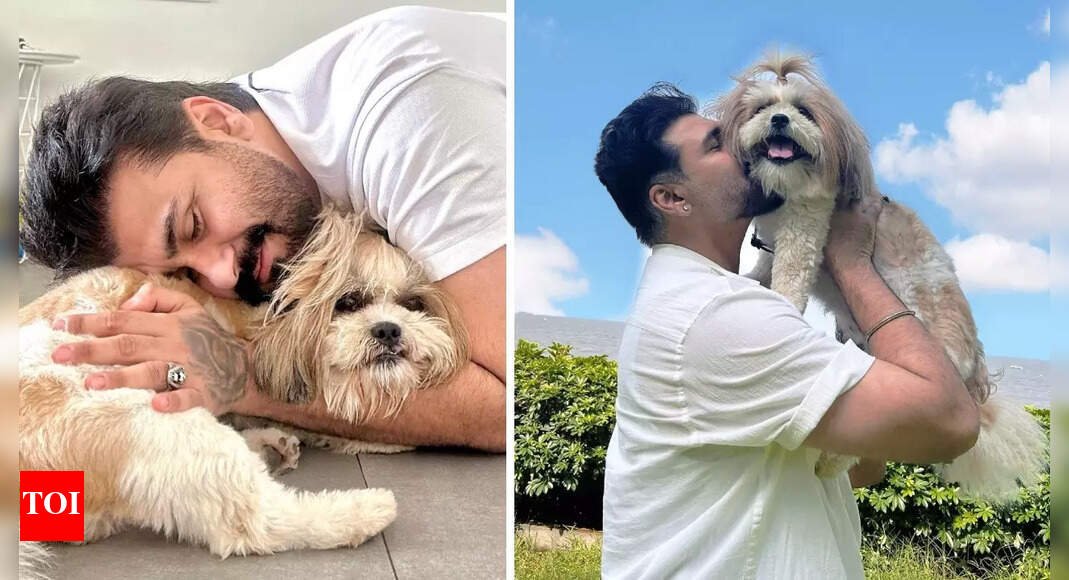 Aarya Babbar on how dogs get scared of firecrackers during Diwali; ‘I understand that pain’ – Exclusive |