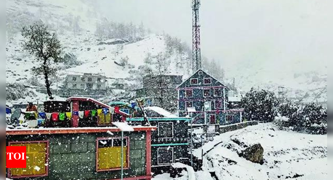 Himachal shivers: Mercury drops after fresh snow, rain; Tabo below 0° | India News