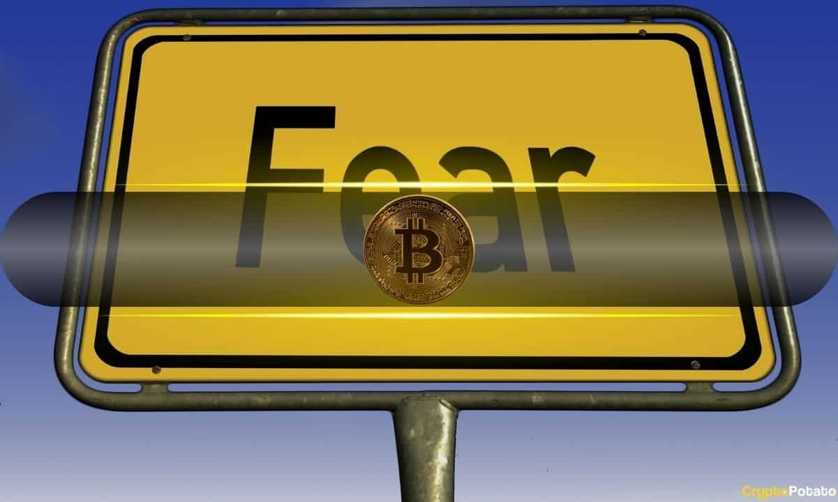 Crypto Market Shows Pain and Potential After Massive Liquidation Event: Bitfinex Alpha