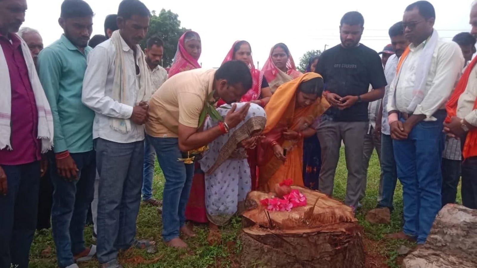 Moved by weeping woman, village brings her saplings for Peepal loss | India News