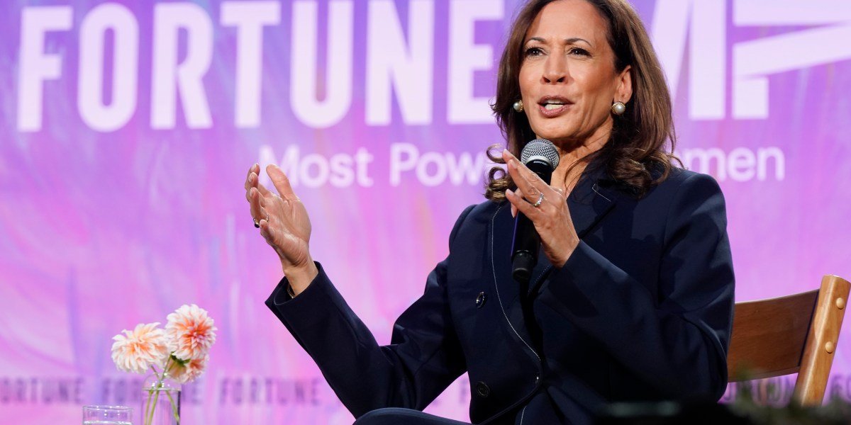 Kamala Harris doesn’t believe her presidential run was her finale: A glass ‘cliff suggests finality, and I’m not into that’