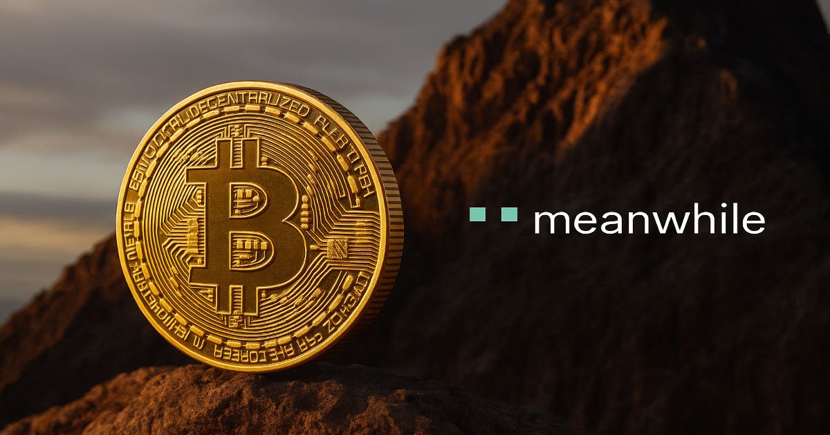 Bitcoin Life Insurer Meanwhile Raises  Million