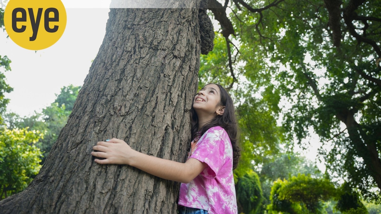 We are as strong as the forest that surrounds us | Eye News