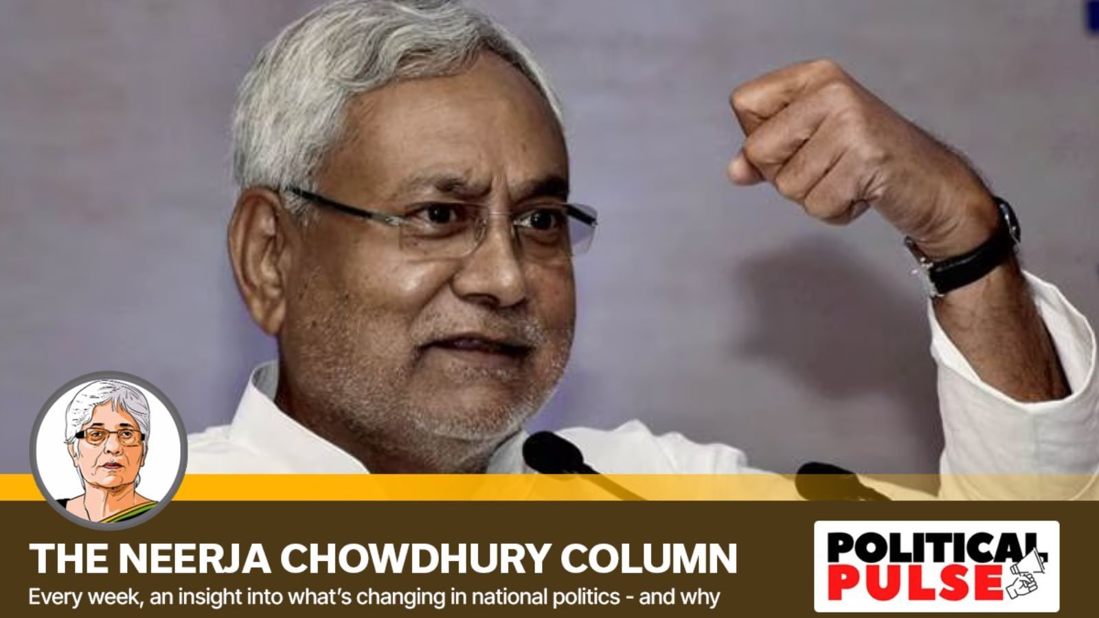 There’s a new ‘M’ factor in Bihar elections: Mahila, will it counter Nitish fatigue? | Political Pulse News