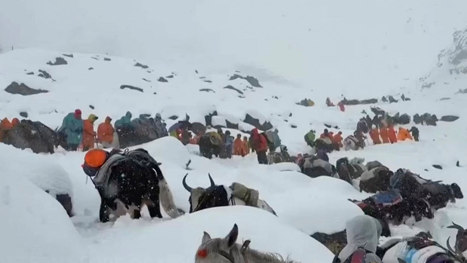 Hundreds of trekkers rescued from blizzard-struck Mt Everest | World News