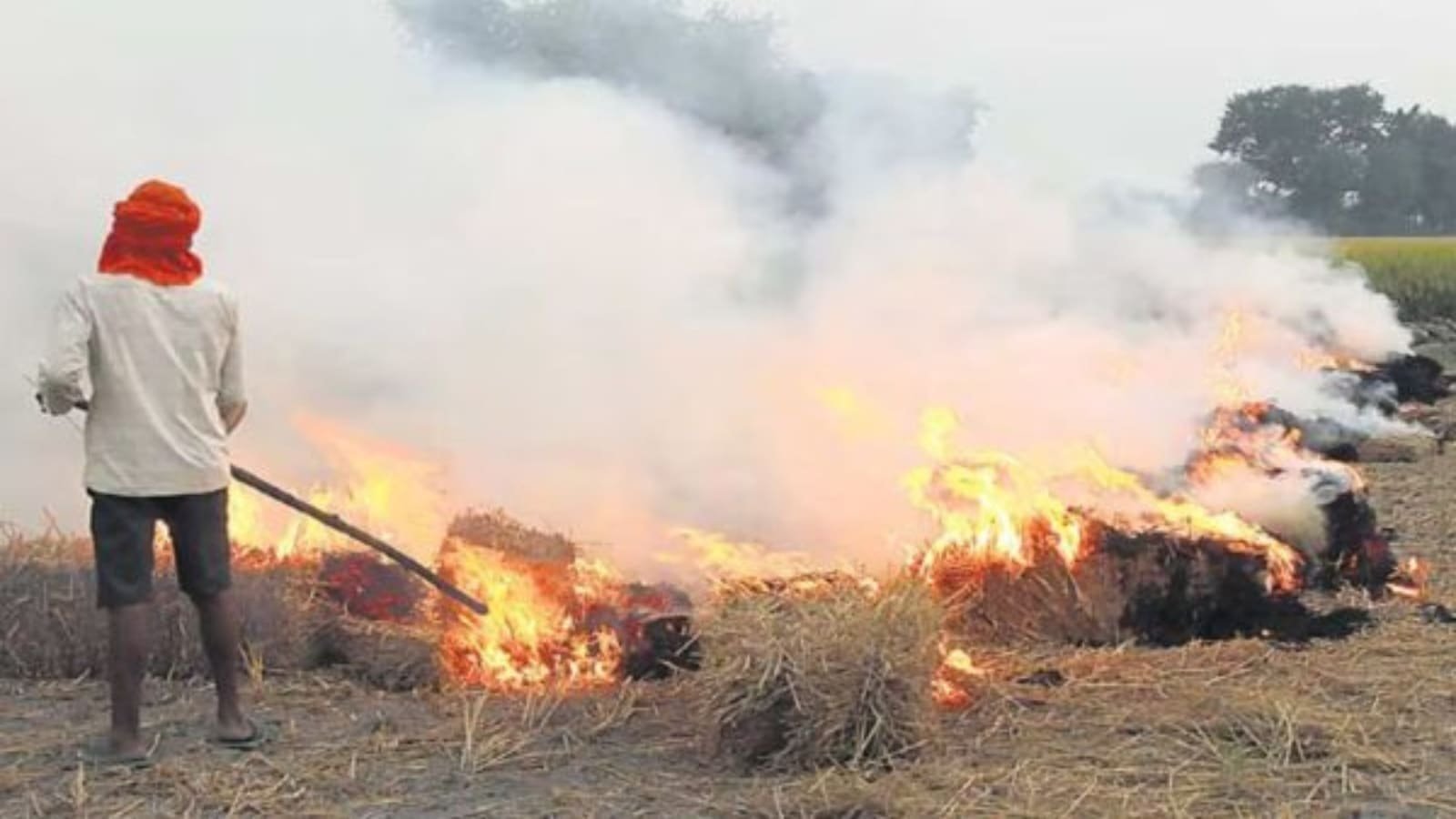 Haryana Farmer Booked in Palwal for Stubble Burning on Diwali