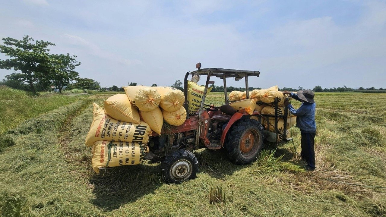 Cabinet hikes wheat MSP by Rs 160/qtl to Rs 2,585 | India News