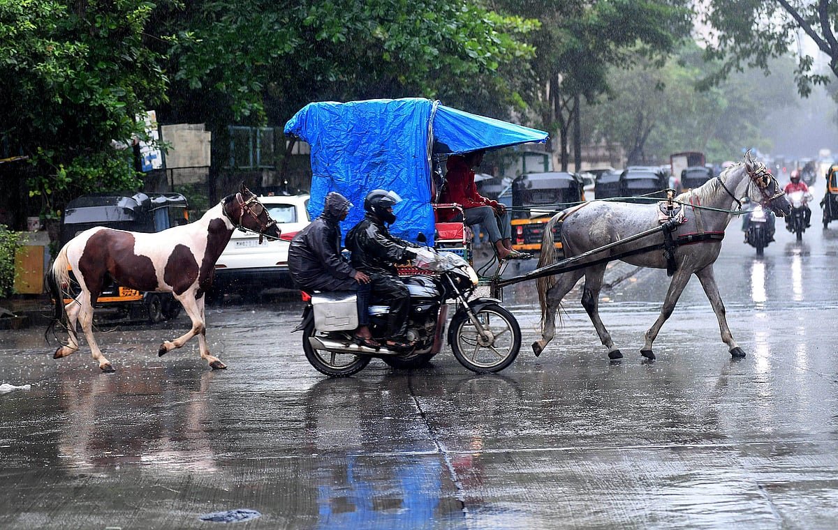 Heavy Rain Expected Today In Five Districts, Yellow Alert Issued