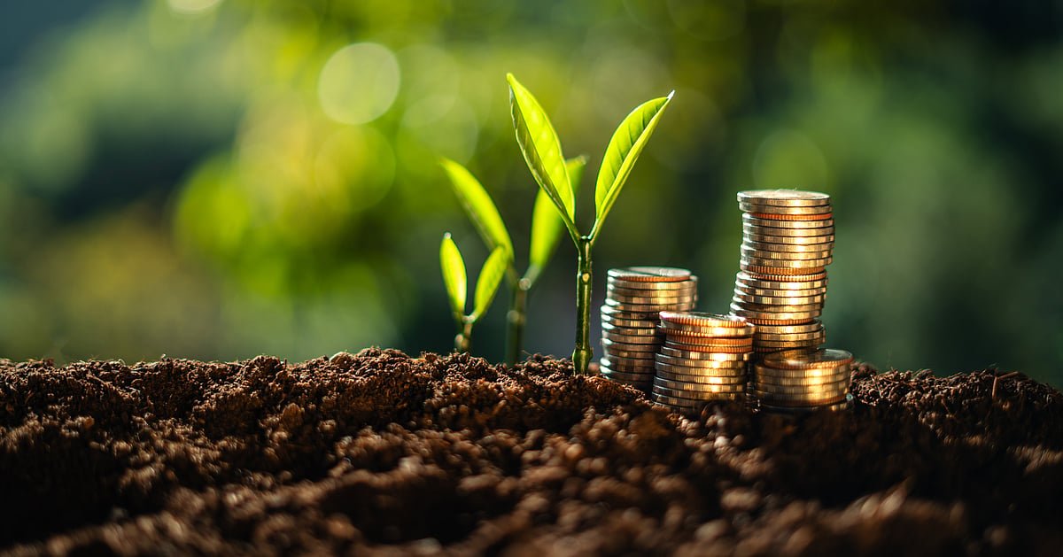 Check New Rates For PPF, NSC For October-December Quarter Of FY26