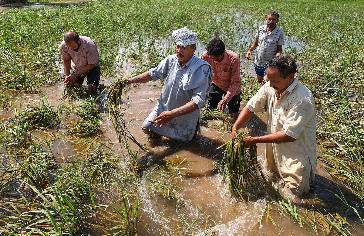 Cabinet approves Minimum Support Prices (MSP) for Rabi Crops for Marketing Season 2026-27