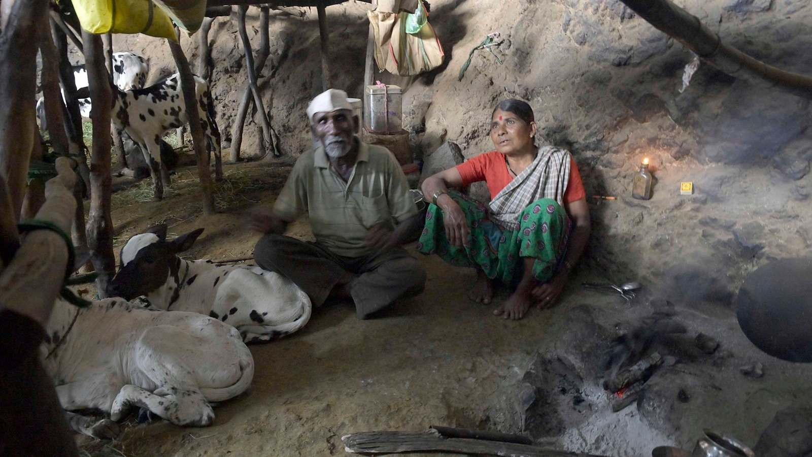Not enough space in villages, these cattle herders live in caves for half the year | Pune News