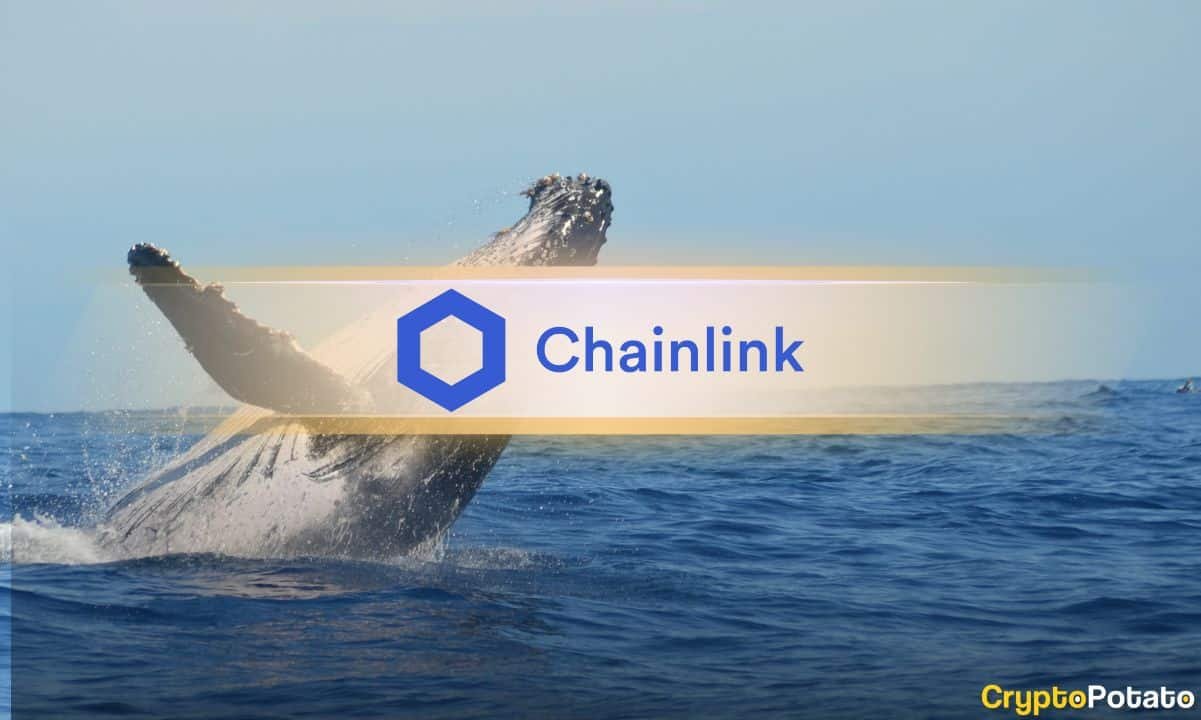 53 Million LINK Scooped Up in Big Accumulation Spree