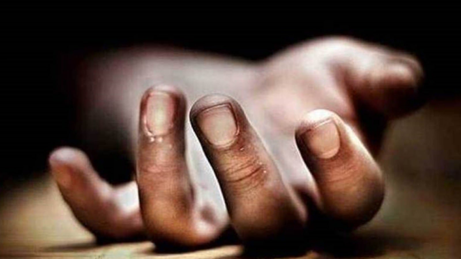 32-year-old man killed afterbeing hit by speeding truck | Chandigarh News