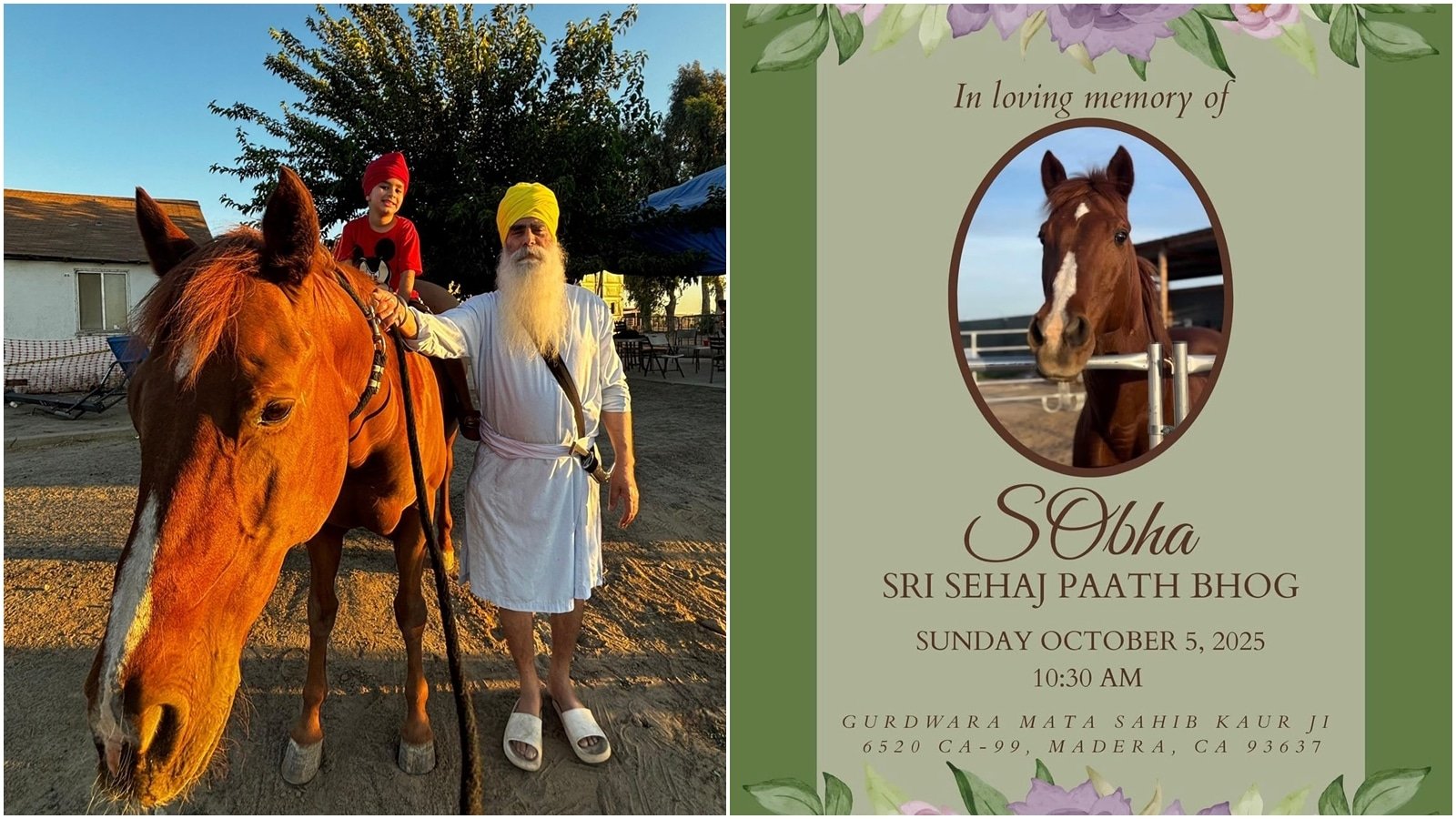 ‘In loving memory of Sobha, our Jaan Bhai:’ Sikhs in US hold ‘Sehaj Paath’ for a gurdwara horse | Chandigarh News
