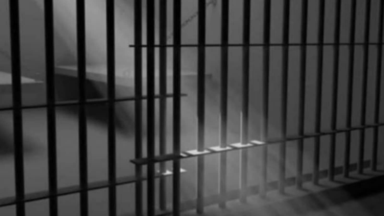Man who killed wife for not visiting him in jail gets life imprisonment | Mumbai News