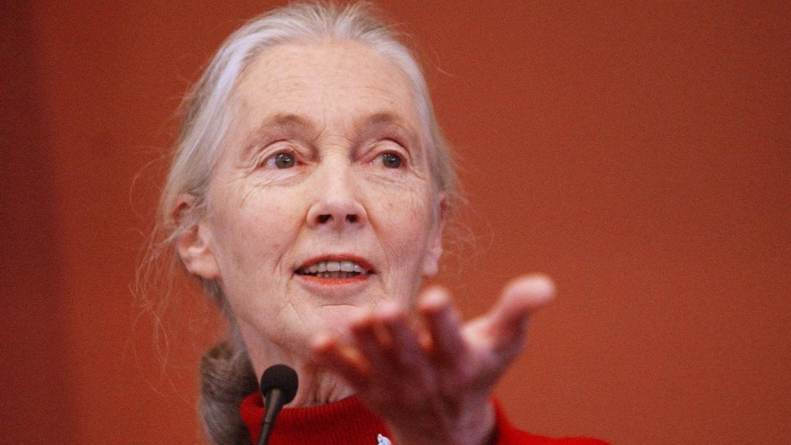 When a giant falls: Goodbye, Jane Goodall. Thank you for the science and the compassion