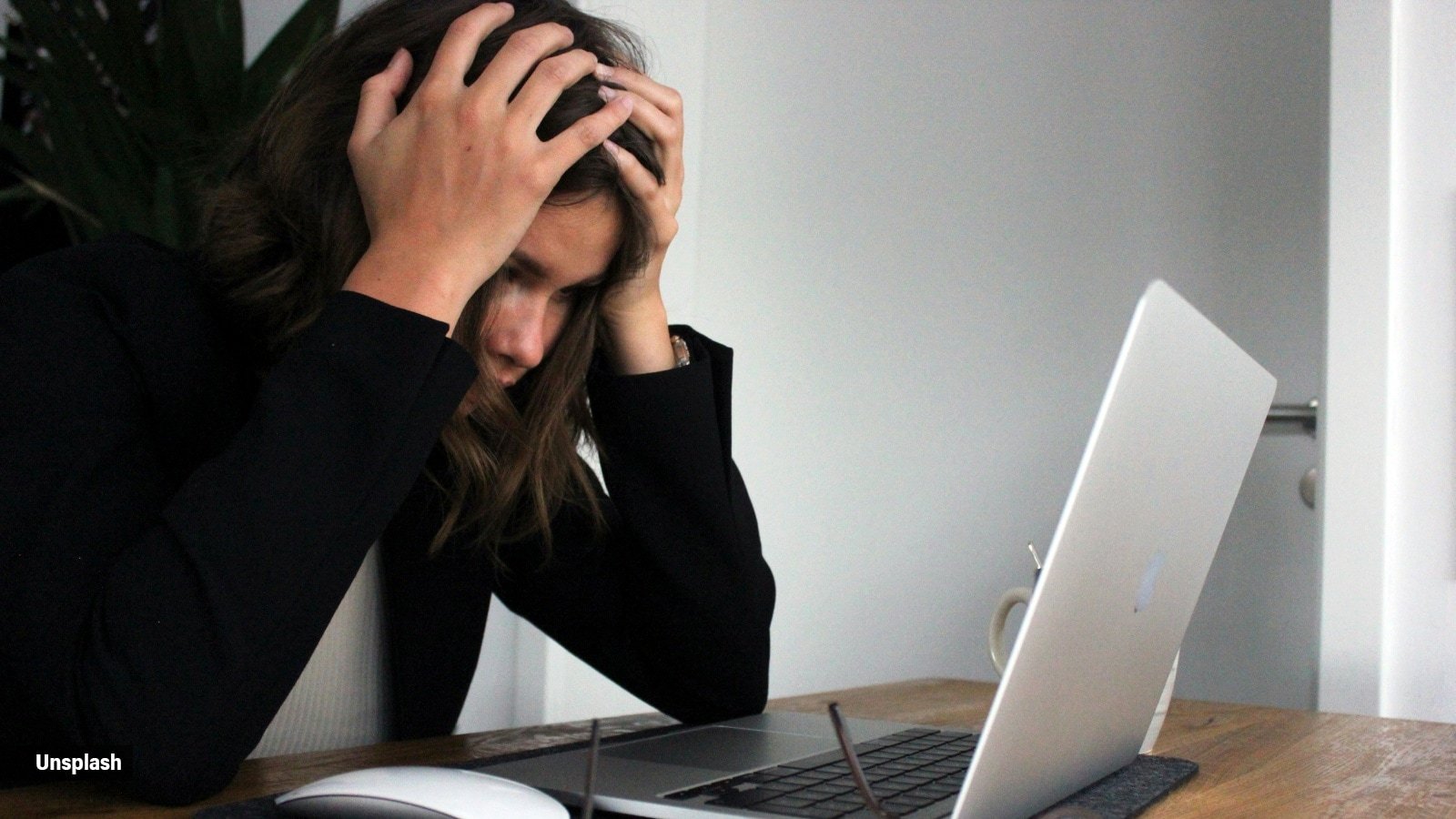 Why urgent work emails can make your brain react like a tiger is chasing you | Workplace News