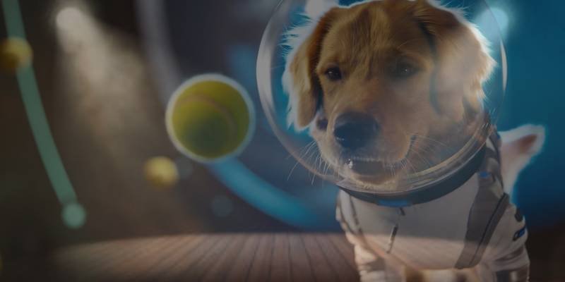 OpenAI’s Sora 2 Lets You Become the Star of Your Own AI-Generated Movie